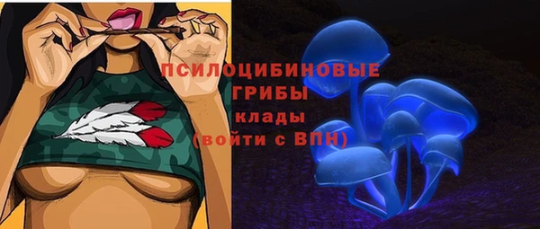 МДПВ Алексин