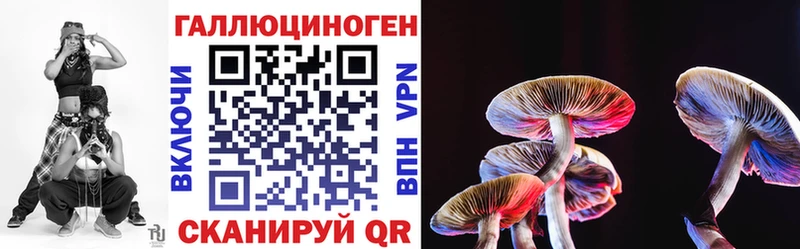 Псилоцибиновые грибы GOLDEN TEACHER  MEGA зеркало  Костомукша 